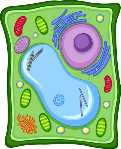 0402179d-3ccb-397x487.png