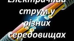 Інтегрований профорієнтаційний захід " Електричний струм у різних середовищах"