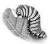 040219i4-1c20-100x89.png