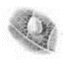 040219ij-67c0-91x84.png
