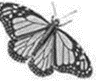 040219jv-032e-97x81.png