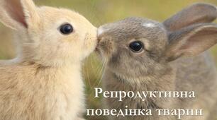 Презентація на тему "Репродуктивна поведінка тварин"