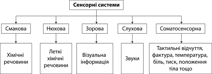 040219w3-2ce0-730x255.png