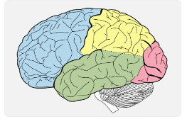 04021ajn-1944-256x175.png