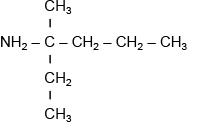 04021asz-9596-202x133.png