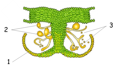 04021ayq-ec88-374x215.png