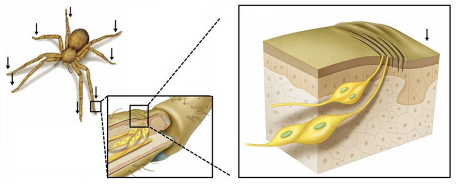 04021az2-d101-940x379.png
