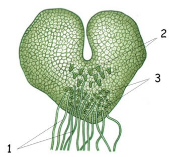 04021bf8-431f-346x312.png