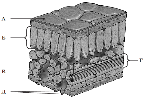 04021gr2-2759-506x352.png