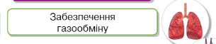 04021hs6-f6a4-305x62.png