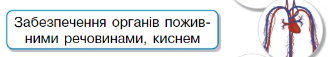 04021hsy-77d4-328x57.png