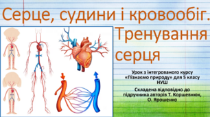 Серце, судини і кровообіг. Тренування серця. "Пізнаємо природу", 5 клас НУШ, за програмою авт. Коршевнюк Т. В.