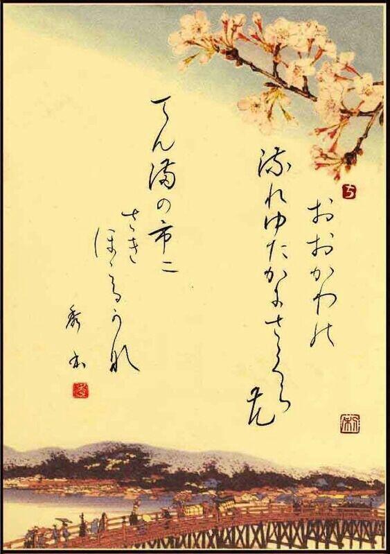 04021k4m-d24b-563x799.jpg