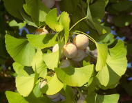 04021kfd-f8b3-360x283.png