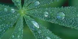 04021mgg-5429-269x134.jpg