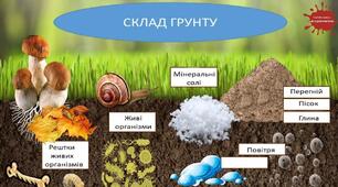 Презентація "Поняття про ґрунти, їх склад та різновиди, родючість ґрунтів, мінеральні добрива. Залежність складу ґрунтів від кліматичних умов, ґрунти України. Ерозія ґрунтів."