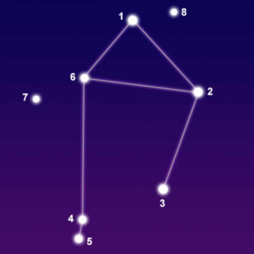 04021nu1-78f6-880x880.jpg