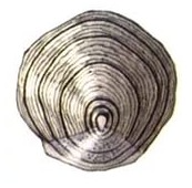 04021odh-96c3-173x170.png