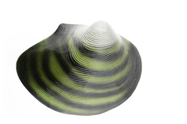 04021ohx-c593-366x242.png