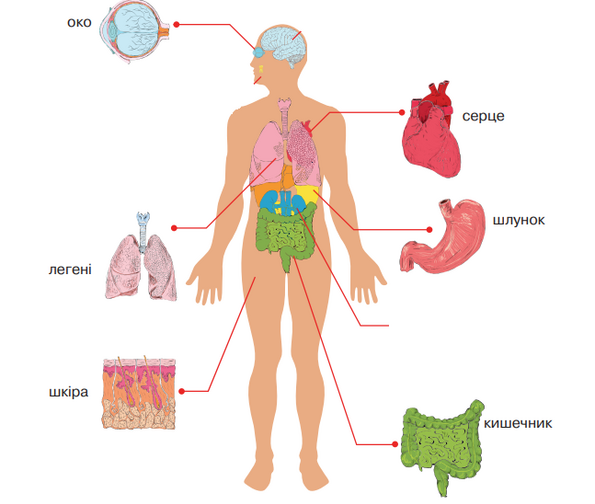 04021psr-3b77-595x504.png