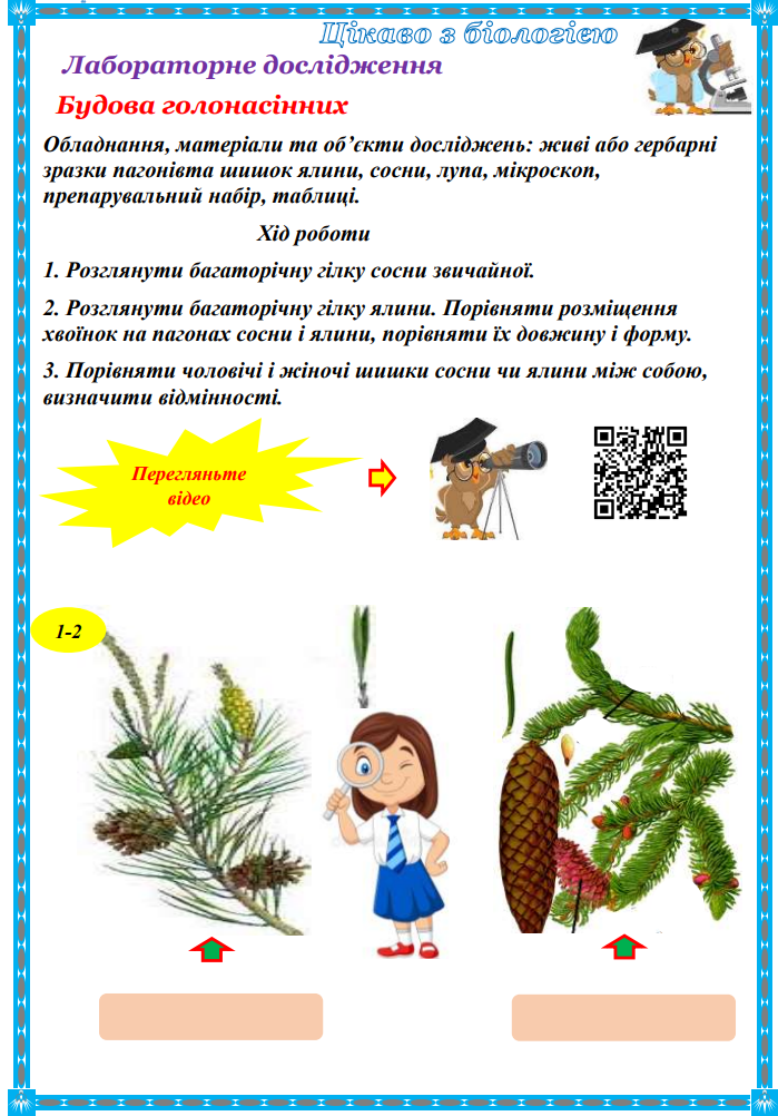 04021qi7-edf1-699x1002.png