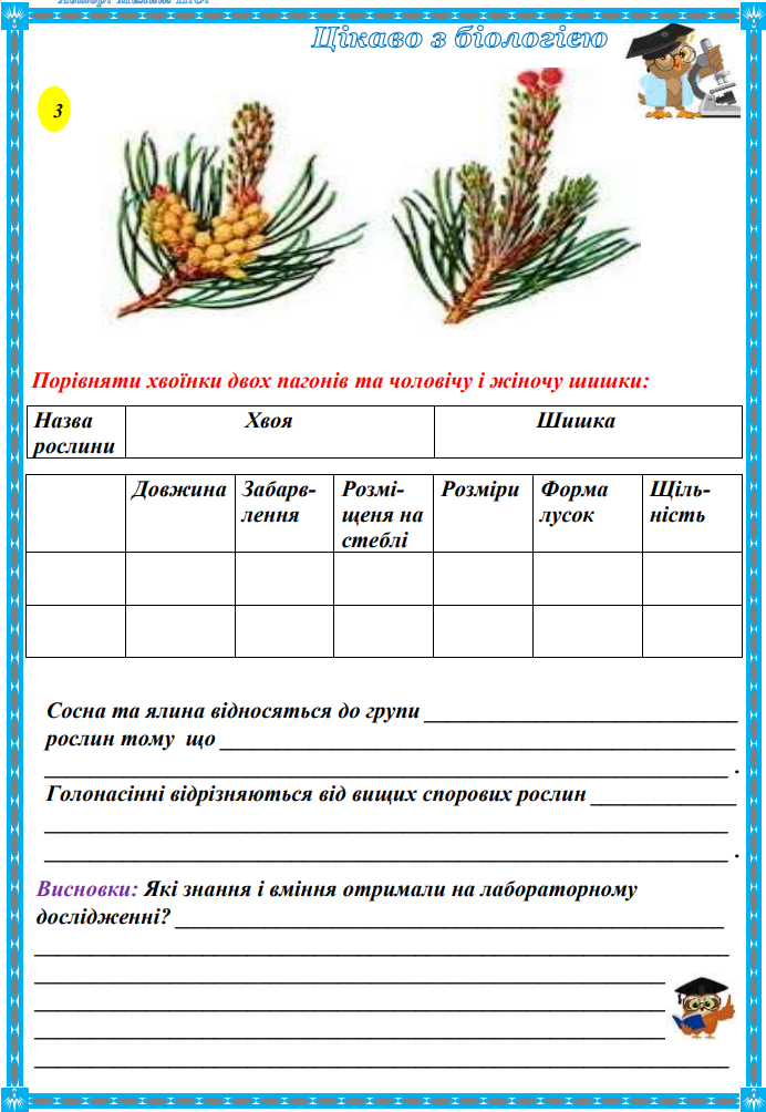 04021qia-78d9-692x1004.png