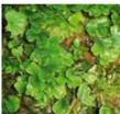 04021qtk-951e-109x104.png