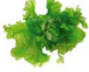 04021quu-3799-89x72.png