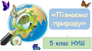 Презентація "Пристосування людини до навколишнього середовища" 5 клас НУШ