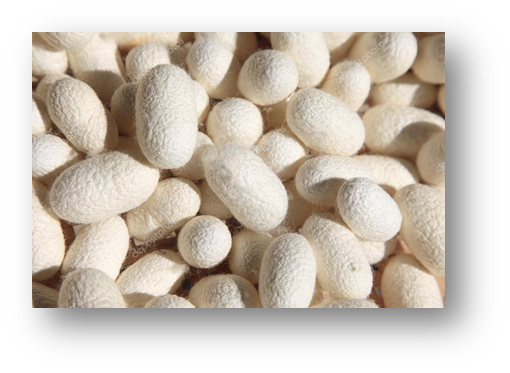 04021u03-5fc8-510x373.png