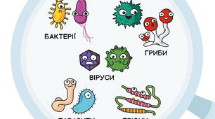 Цікаво про віруси