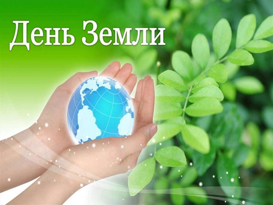 04021vx2-1153-940x704.jpg