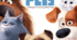 🐾 Workbook "The secret life of pets" 🐾