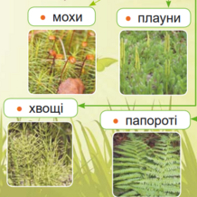 04021yj5-77f1-218x218.png