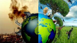 Nature and Environment