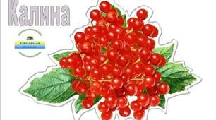 Контрольна робота № 6 Слосполучення. Головні члени речення. Українська мова 5 клас