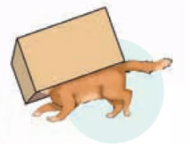 040224pf-6649-190x144.png