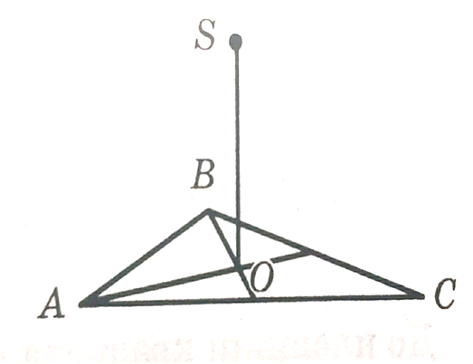 040225ct-1070-523x403.png