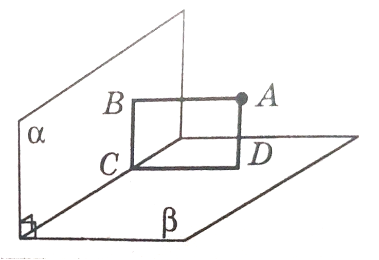 040225fa-9a06-737x507.png