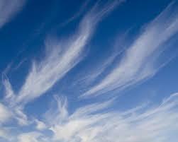 0402266m-7473-251x201.jpg
