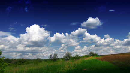 0402267t-d8ec-433x243.jpg