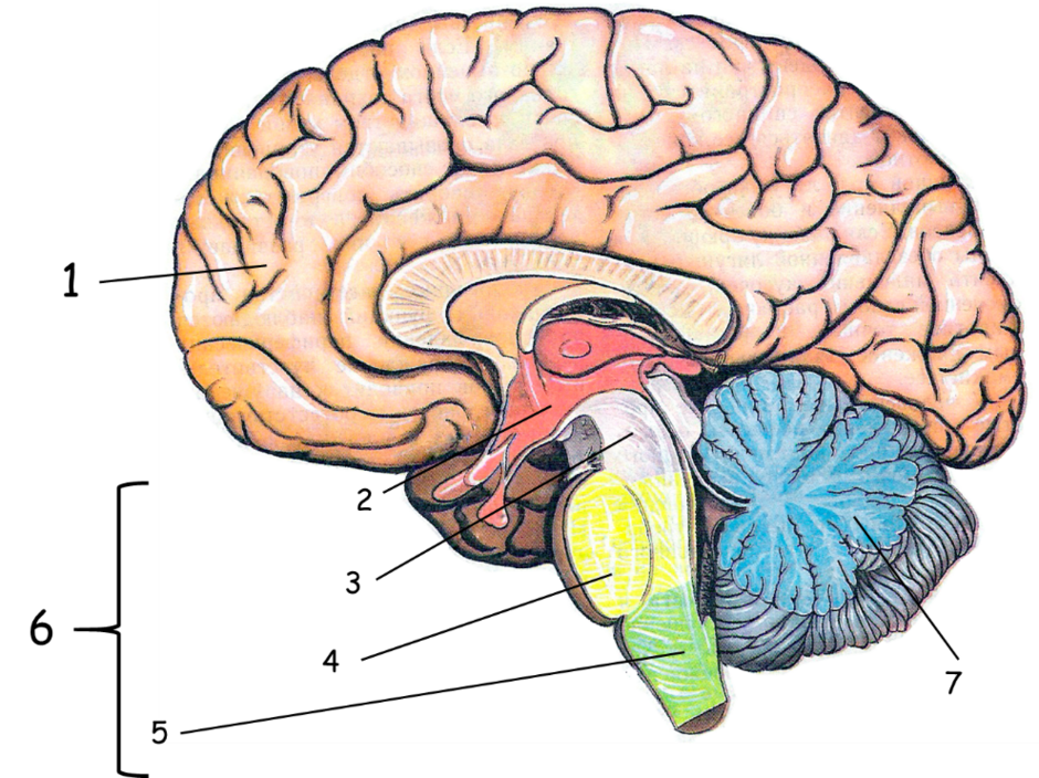 040226qj-6f8e-940x704.png