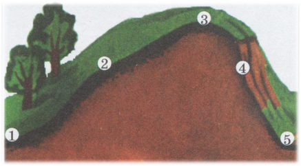 040226rj-2820-437x241.png