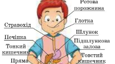 Вивчаю травну систему