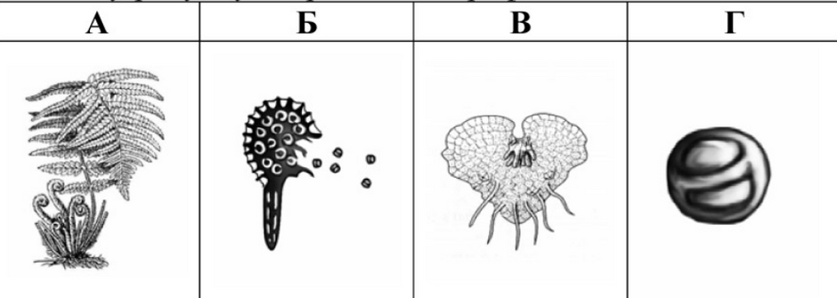 04022f6f-f445-940x335.png