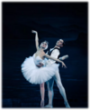 04022ges-3379-100x121.png