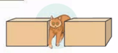 04022ioa-2707-241x110.png