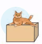 04022iok-f71a-168x177.png