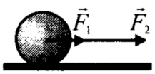 04022jjd-1e47-217x104.png