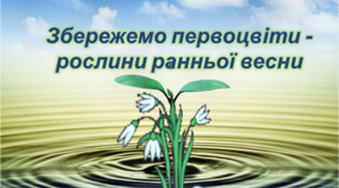 Презентація "Збережемо первоцвіти - рослини ранньої весни"